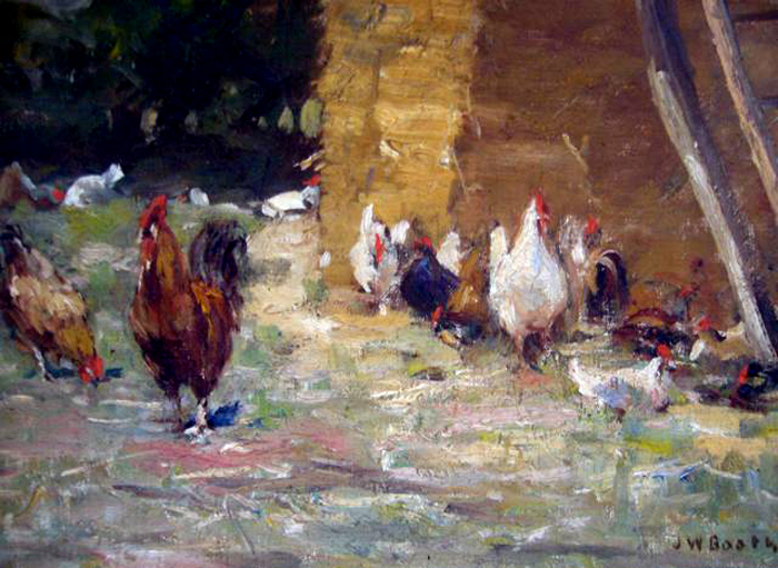 chickens