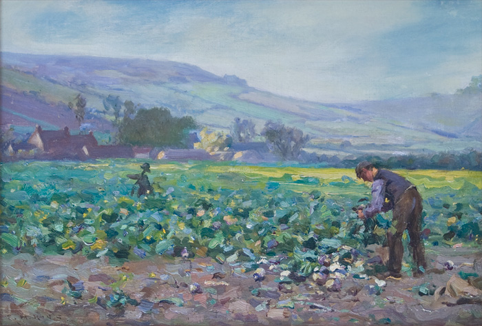 Cutting_Cabbages