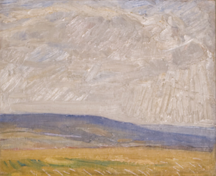 Moorland_Landscape