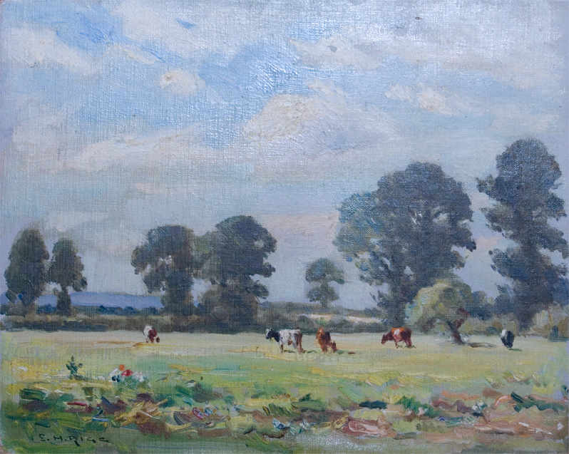 Green_Elms