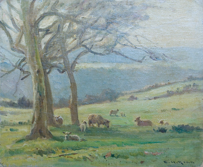Rickman_Valley_Sheep