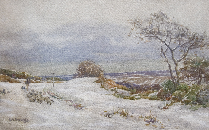 Shepherd_in_snow