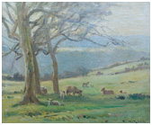 Rickman_Valley_Sheep