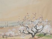 cherry_blossom
